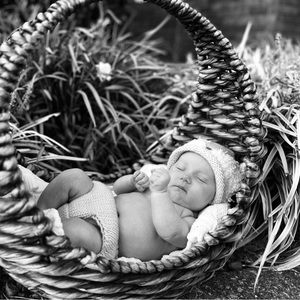 Meet your Posher, Shelly